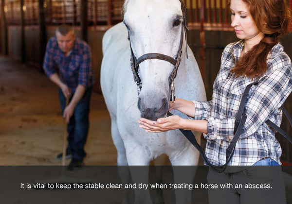 Treating abscesses with EQU Streamz information directory blog.
