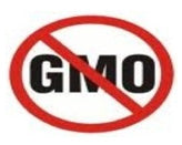 GMO.jpg