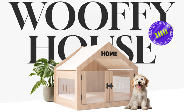 Wooffy Modern Dog House