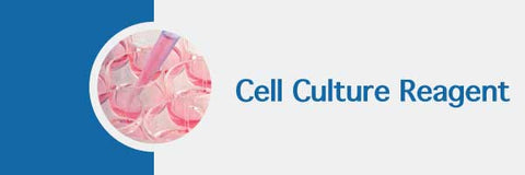 cell culture reagents collagen and PCR mycoplasma kit MD Bioproducts