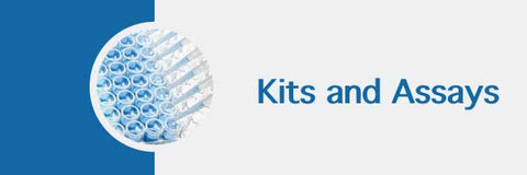 MD Bioproducts ELISA kits and assay 