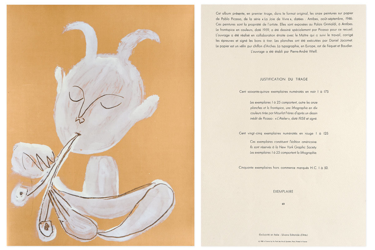 Top-3-Print-FAQs-Picasso