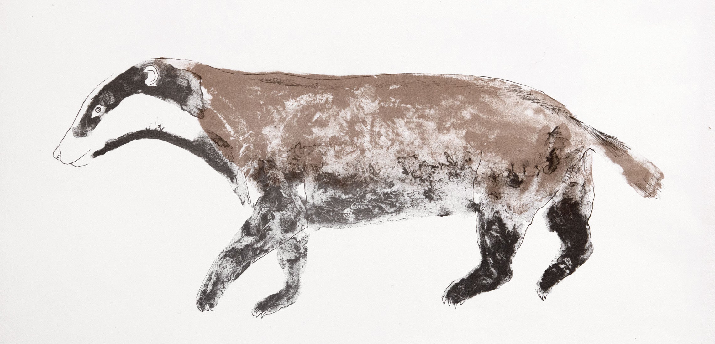 Badger, lithograph, 1970