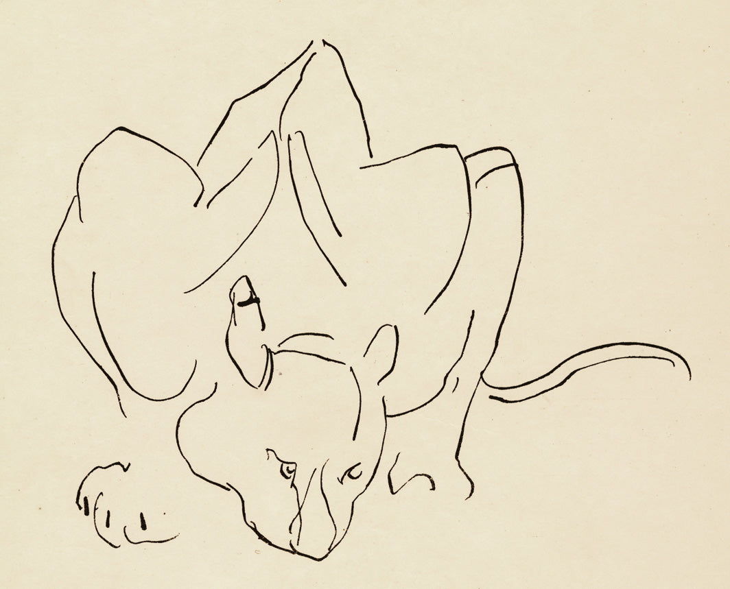 Henri Gaudier-Brzeska Crouching Lion