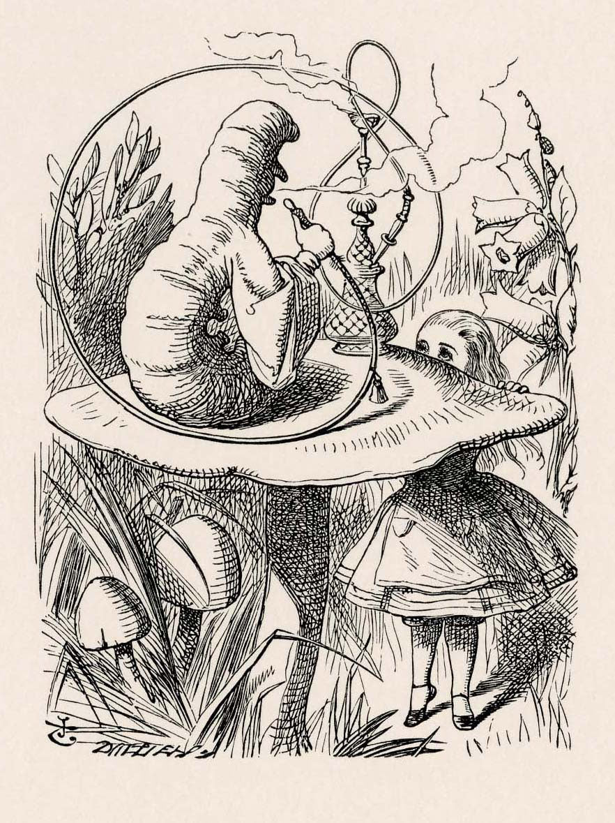 The Caterpillar and Alice looked at each other...’, woodcut