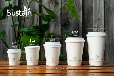 How To Choose Your Paper Cup Size
