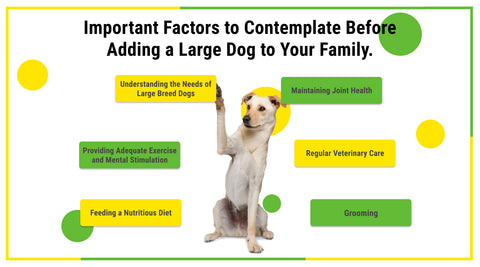 Important Factors to Contemplate Before Adding a Large Dog to Your Family