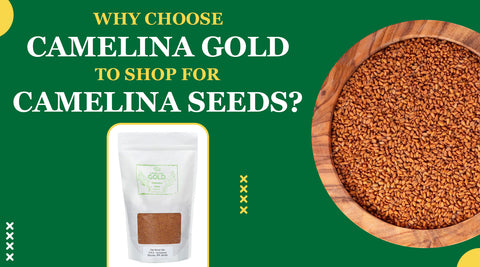 Camelina Gold