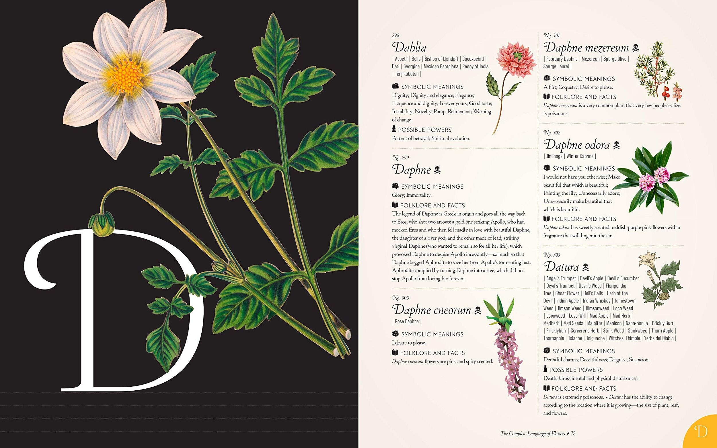 The Complete Language of Flowers: A Definitive and Illustrated History