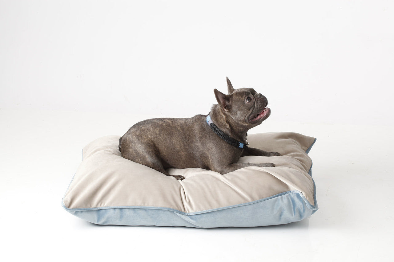 Louis Pawtton Watercolor Designer Dog Mat Bed