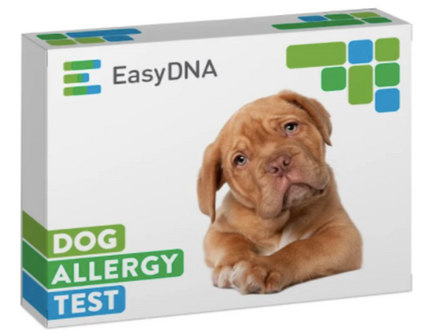 easy dna dog allergy test