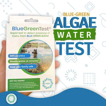 blue green algae test 5strands
