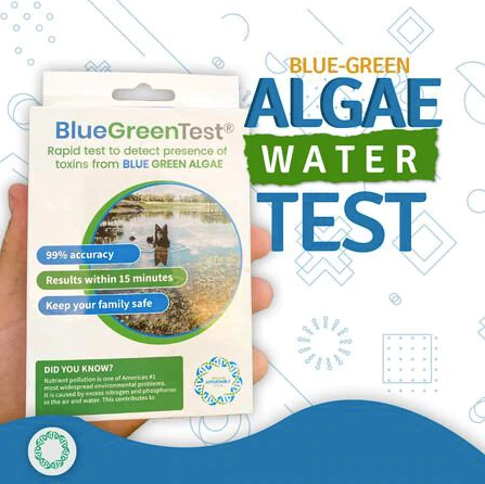 Blue green algae test kit 5strands