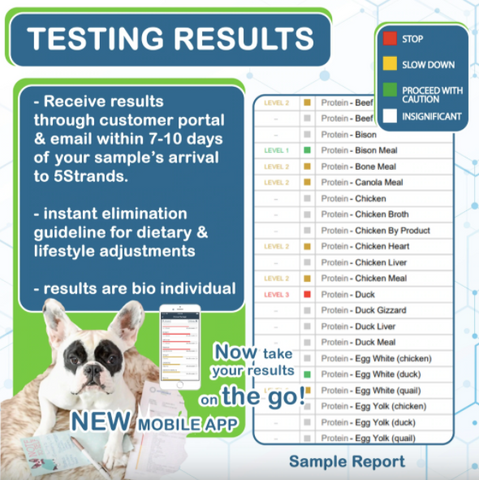 dog test results 5strands