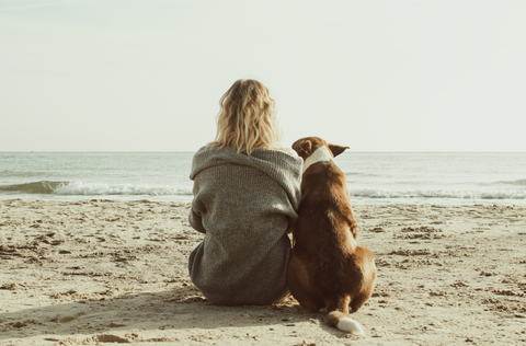 Woman with her dog companion on the beach.