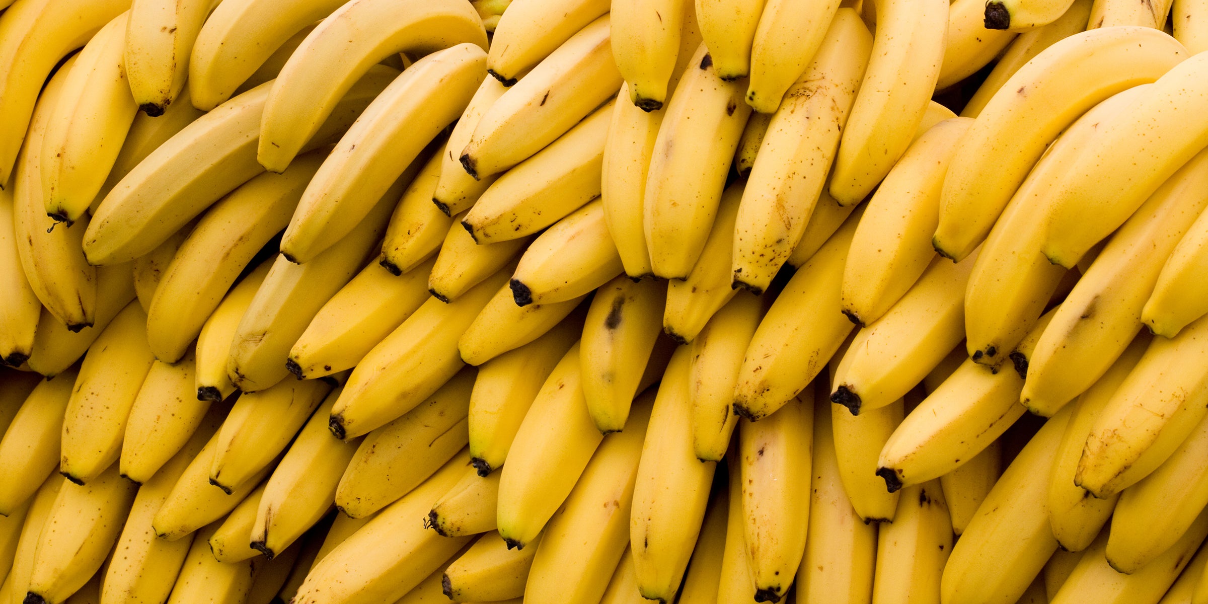 Alot of Bananas