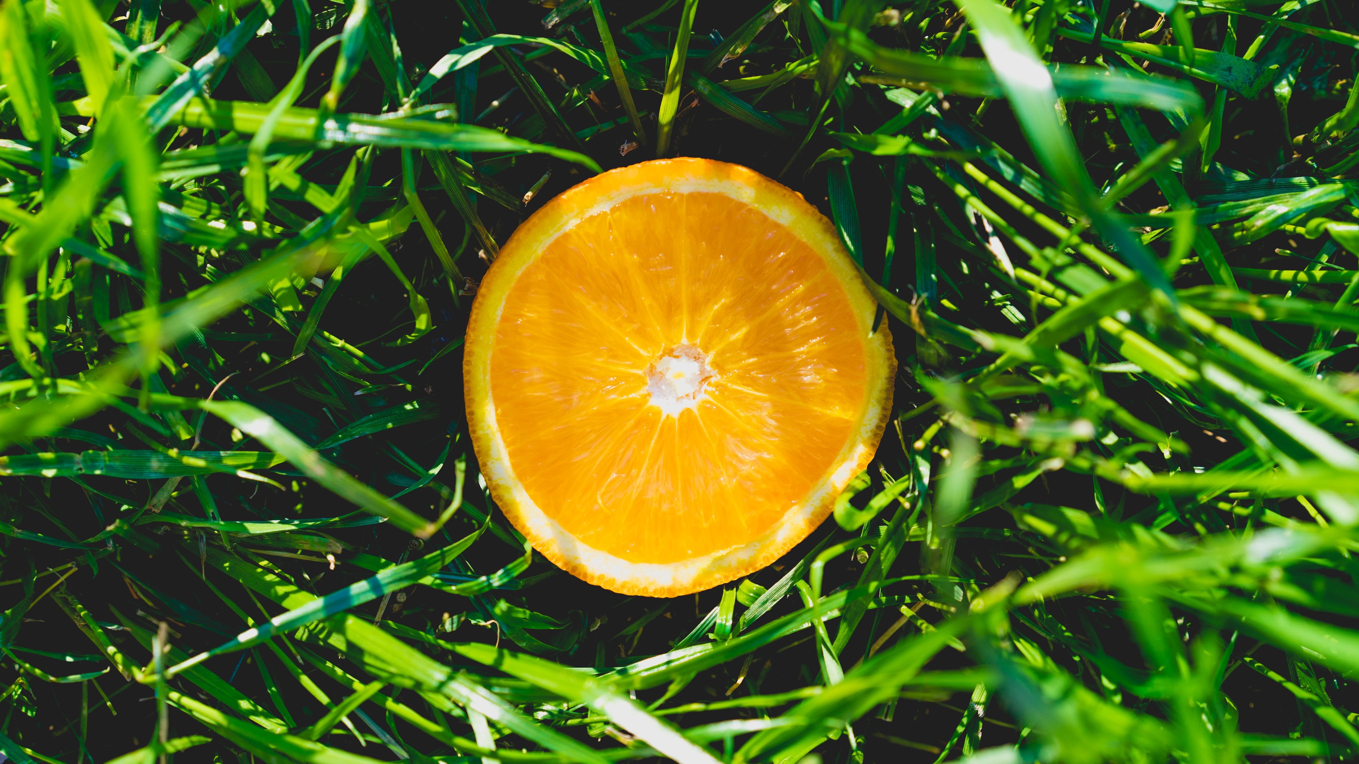 Orange in grass