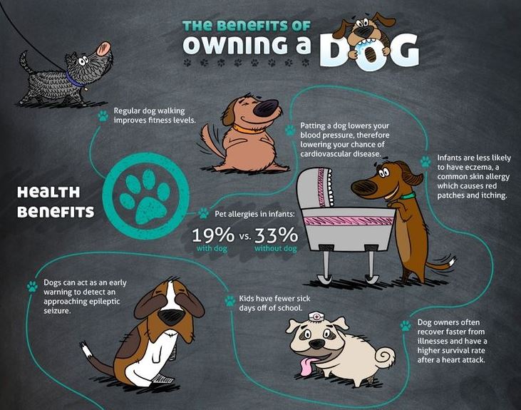 what are the benefits of owning a dog