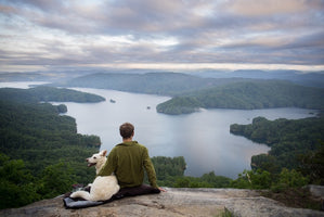 Tips for Hiking with Your Dog