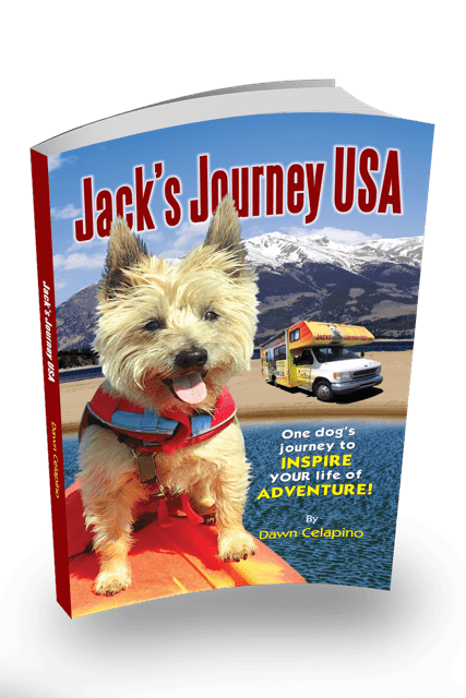 Dog Book Review: Jack's Journey USA