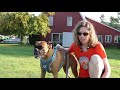 Kurgo Running Team: Julia and Delta (VIDEO)