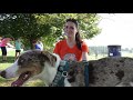 Kurgo Running Team: Kristen and Scout (VIDEO)