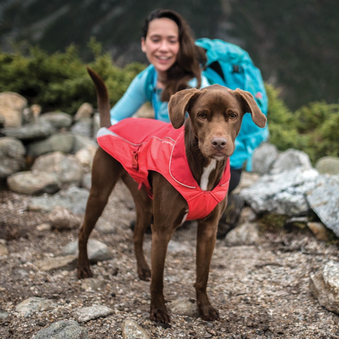 Backpacking with Your Dog Infographic