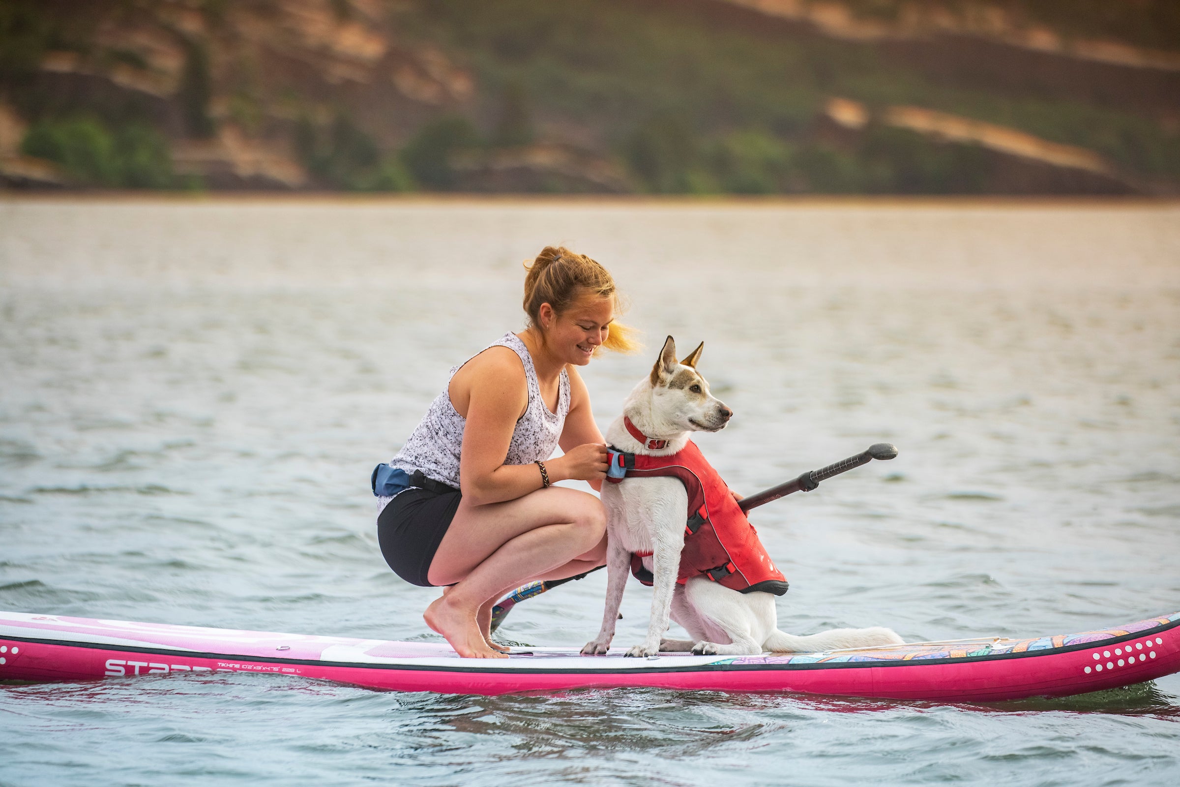 The Benefits of a Dog Life Vest