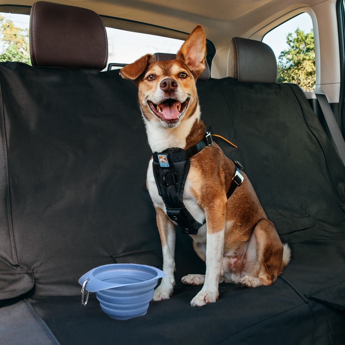 What is the Best Way for a Dog to Ride in a Car?: Safe & Comfy Tips!