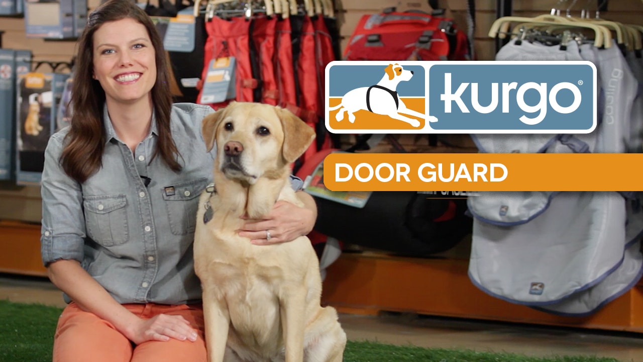 Kurgo Car Door Guard for Dogs, Pet Protector for Car Doors, Waterproof,  Adjustable, Quick Installation, Storage Pockets, Fits Sedans and SUVs,  Black, Grey, Khaki