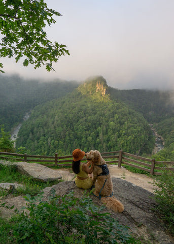 Sunshine and Sancho are sitting on a lush, green mountainside. The summit overlooks a horseshoe shaped trail.