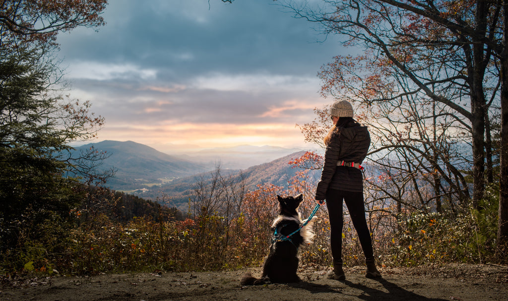 Draco the Border Collie and his dog mom Kristina taking in the sunset at the overlook.