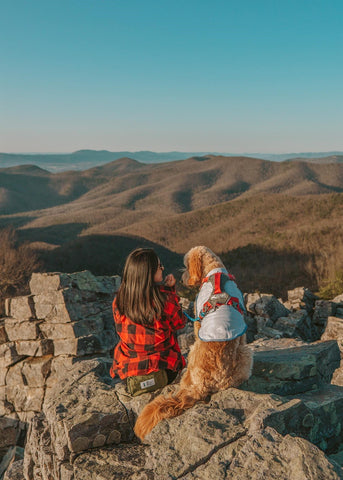 Sunshine and Sancho are sitting on a rock overlooking an open, grassy mountainside at sunset. Sunshine is wearing a red flannel, and Sancho is wearing a Journey Air Harness over a Core Cooling Vest.