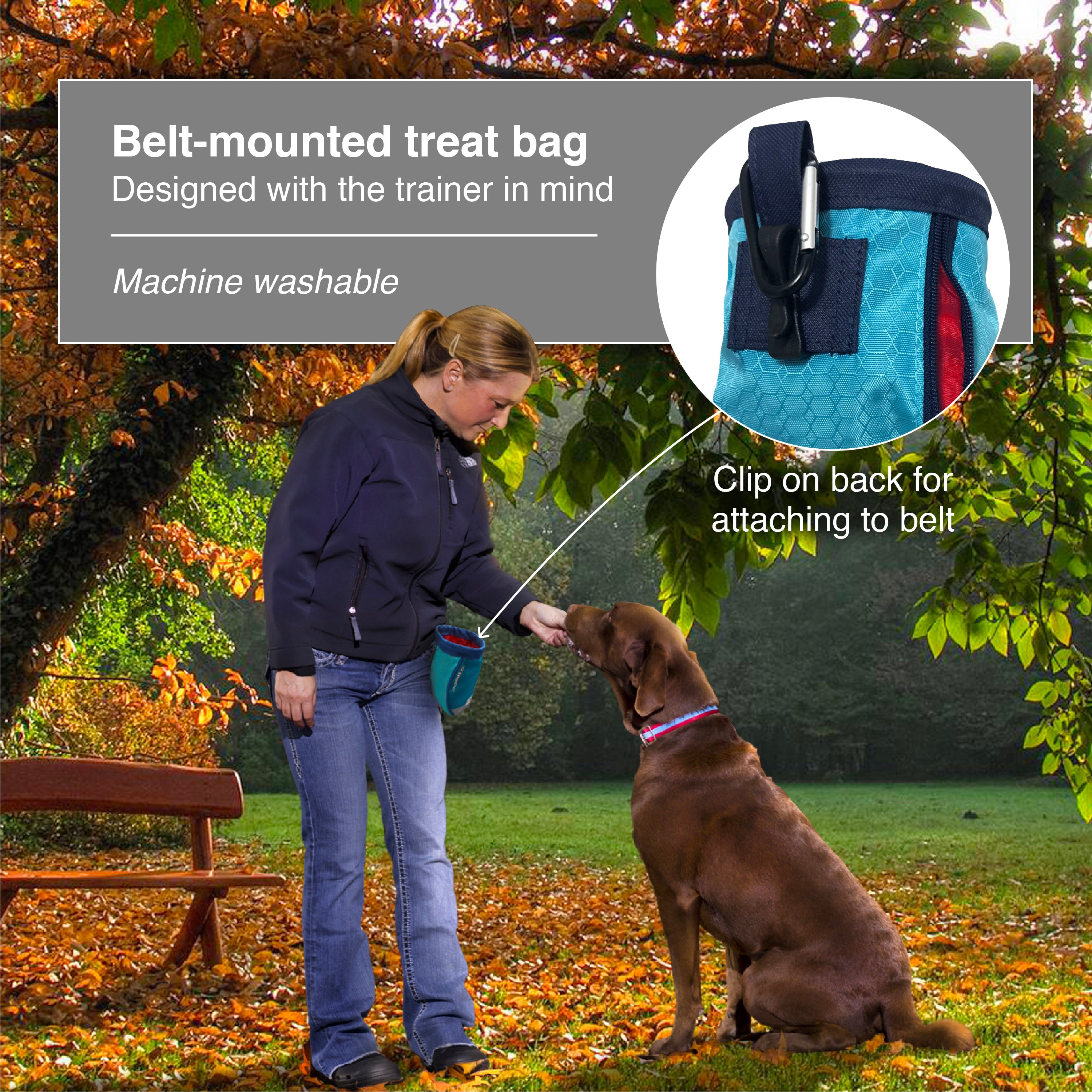 Belt Loop Dog Training Bait Bag for Treats, Balls