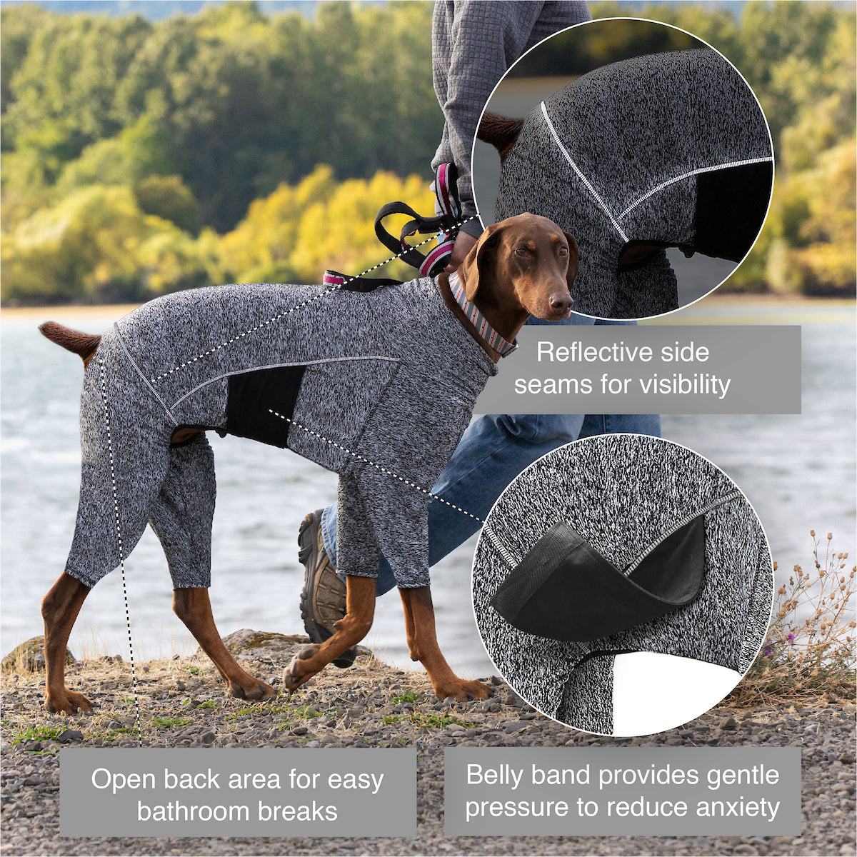 KindTail Pawd Pad Dog Accessories Dark Grey : SM