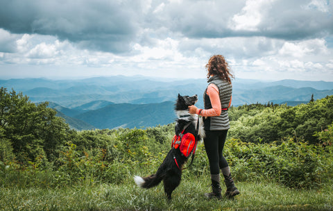 Kristina holding Draco the border collie's paws as they look out on the mountainscape.