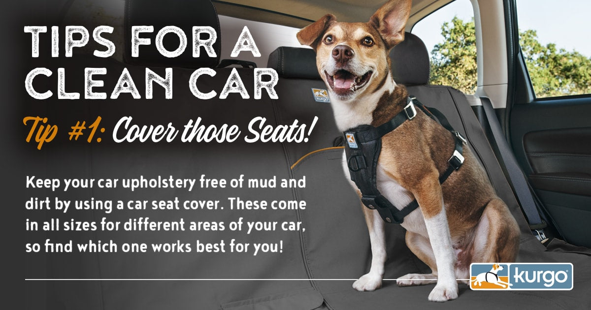 Protecting Your Furry Friends A Comprehensive Guide to Car Seat Cushions for Pets