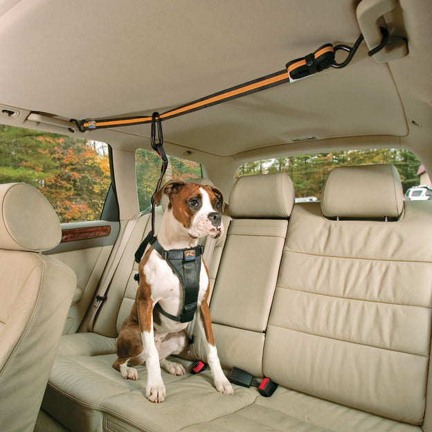 Kurgo Swivel Seatbelt Tether for Dogs, Car Seat Belt for Pets