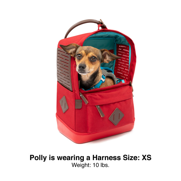 Ultra-light Waterproof Pet Handbag, Chihuahua Dog Bag, Dog Carrier Bag