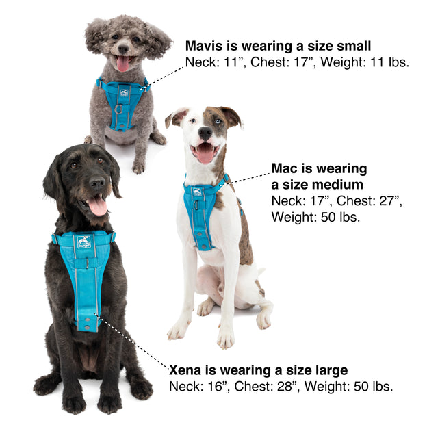 Leashes for medium-sized dogs