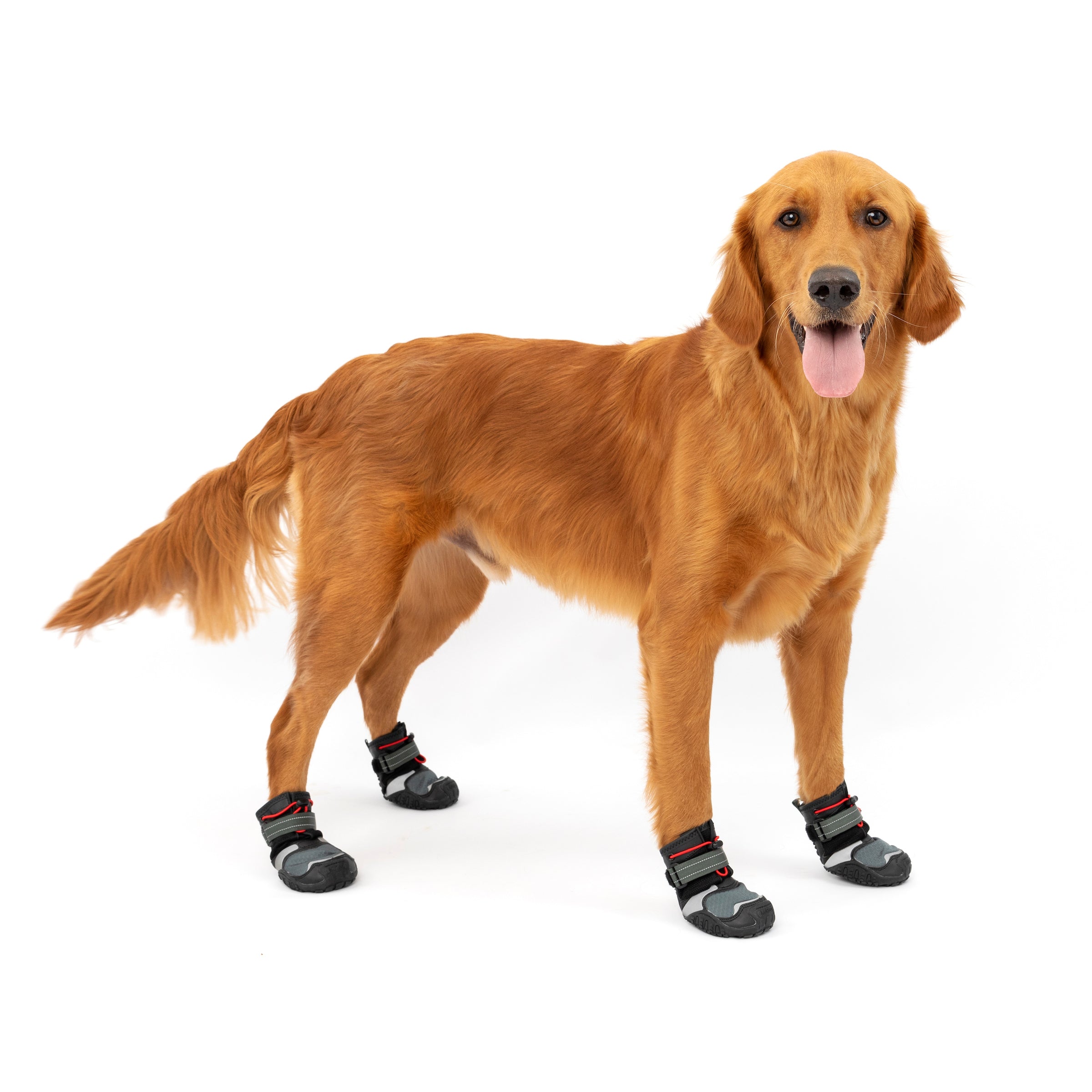  FREECHASE Dog Shoes for Large Dogs - Dog Booties for