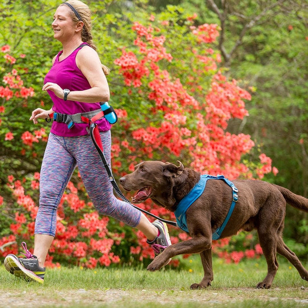 Springback Dog Leash -  48" Hiking and Running Leash