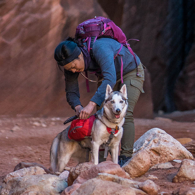 Kurgo Dog Saddlebag Backpack, Back Pack Dog Harness, Hiking Pack for Dogs,  Packs for Pets to Wear, Camping & Travel Vest Harness, Reflective