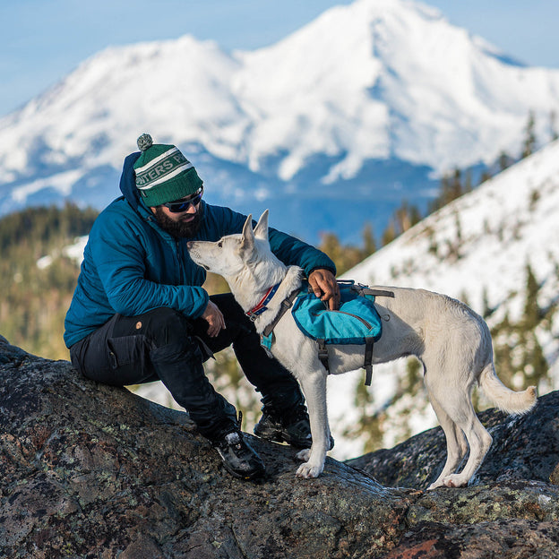  Kurgo Dog Saddlebag Backpack, Back Pack Dog Harness, Hiking  Pack for Dogs, Packs for Pets to Wear, Camping & Travel Vest Harness,  Reflective, Lightweight, Baxter Pack For Medium & Large Pets 