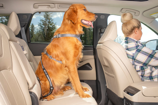 Kurgo Direct to Seatbelt Swivel Tether, Dog Car Belt