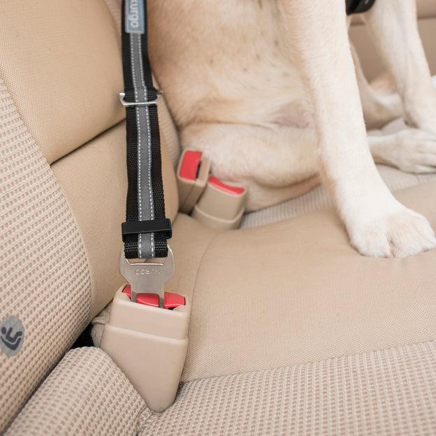 Car Seat Belt Extender - (5 Sizes)