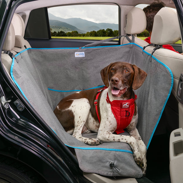 Dog Rear Seat Cover - No Hammock