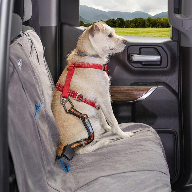 Kurgo® Seatbelt Buckle Dog Tether