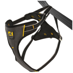 Kurgo KU00023 Tru-fit Dog Harness, Small, Dogs weighing 10 to 25-Pound,  Black 