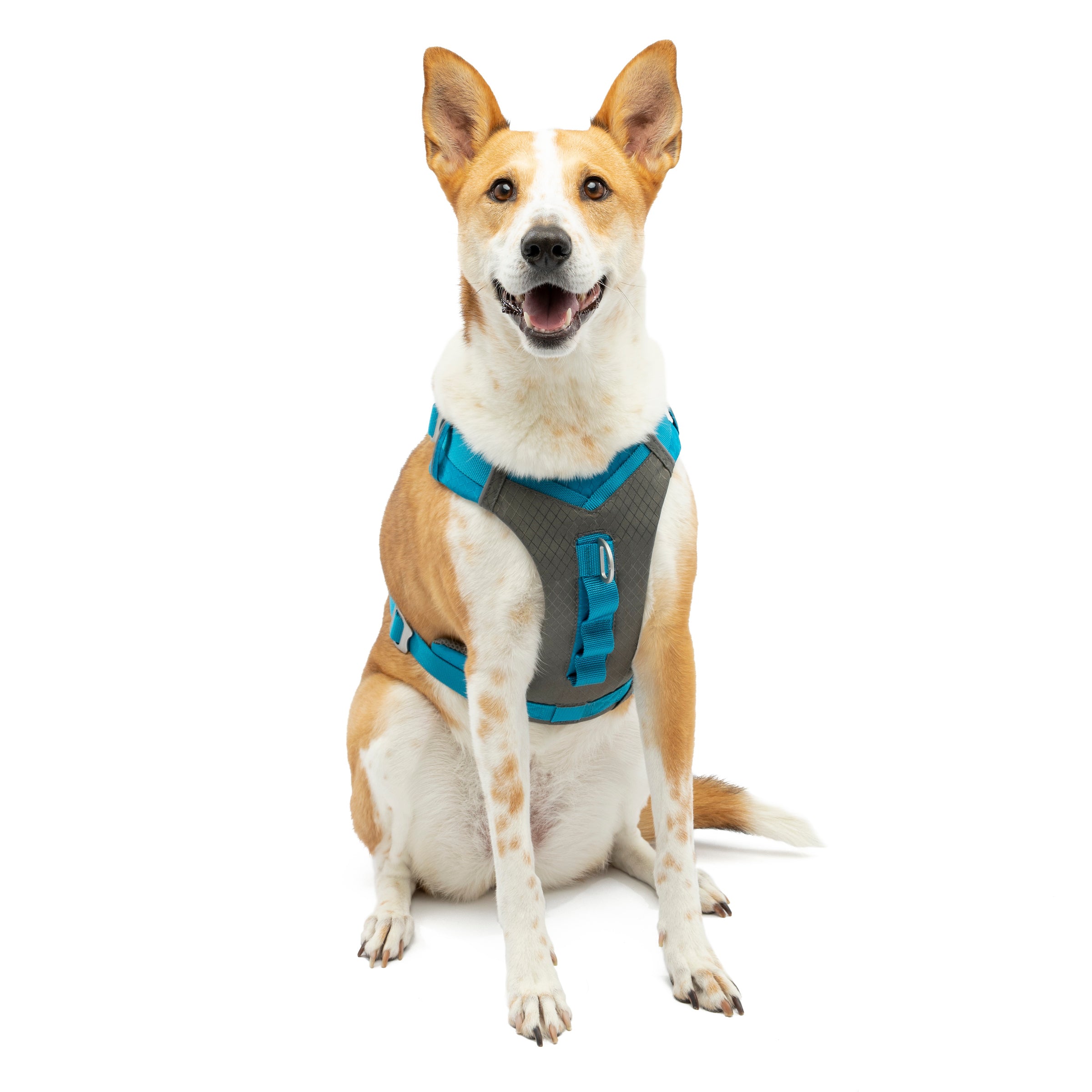 Image of Journey Air Dog Harness